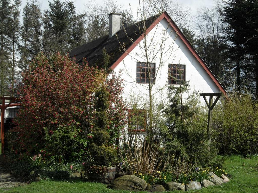 Lille Degnbol Holiday House Zewnętrze zdjęcie